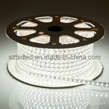 220V Waterproof 5050 SMD IP65 LED Flexible Strip Light